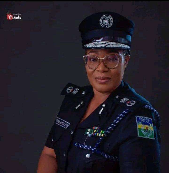 Kwara Police command to deploy technology to tackle crime – New CP