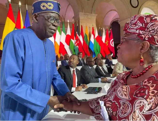 Subsidy Removal: President Tinubu Meets Okonjo-Iweala on Cushion Effect