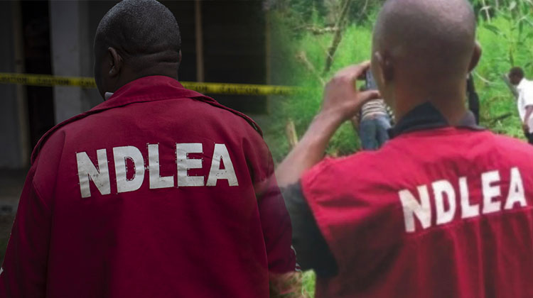 JUST-IN: Hoodlums Open Fire On NDLEA Operatives In Edo, Three Officers Injured