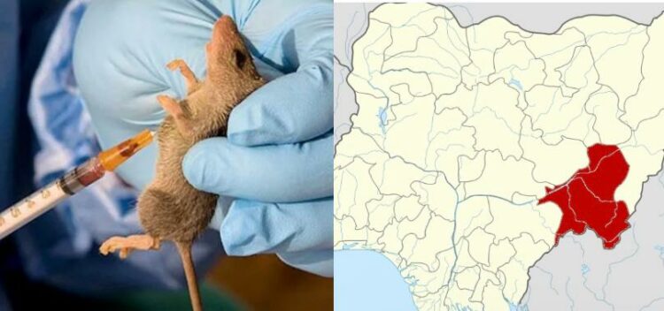 19 Die Of Lassa Fever In Taraba