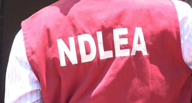 NDLEA Arrests Two For Smuggling Tramadol