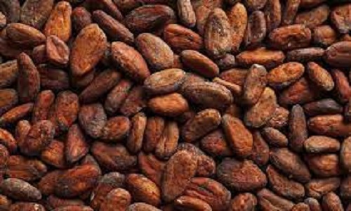 Farmers Smile As Cocoa Hits $9,010.59 Per Tonne