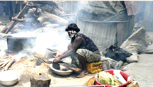 Use Of Firewood, Charcoal Kill 98,000 Nigerian Women Annually- Expert