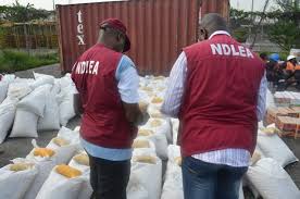 NDLEA Nabs Man Carrying 4,000 Tramadol Pills In Lagos Airport