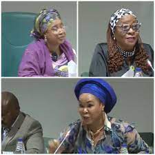 Reps, Women Affairs Minister Engage In Heated Argument Over Alleged Diversion Of N1.5b