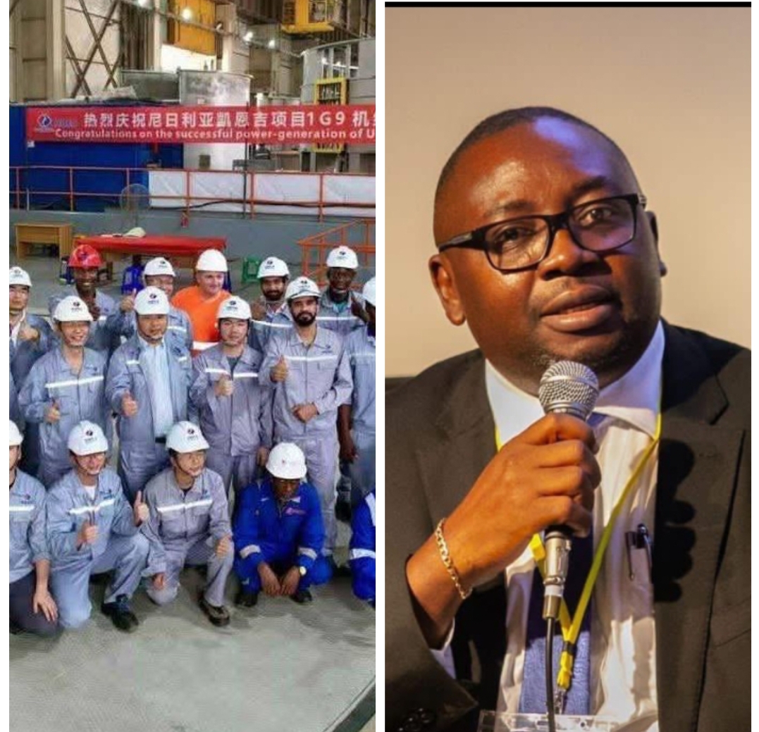 Additional 80MW: Team Adebayo Adelabu-In-Diaspora Lauds Minister of Power